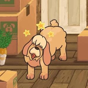 Meet your Posher, Misty